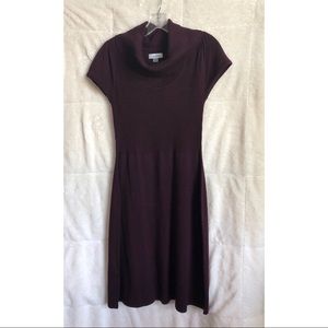 Calvin Klein Sweater Dress